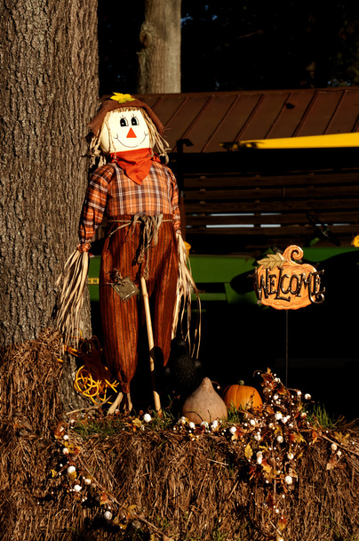 Scarecrow - Foto, Imagen