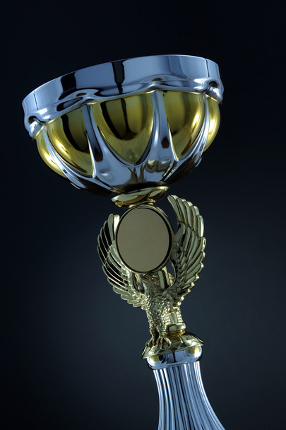 трофей Кубка
 - Фото, зображення