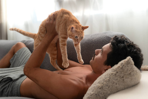 jovem deitado em um sofá brinca com um gato de mesa marrom 2 - Foto, Imagem