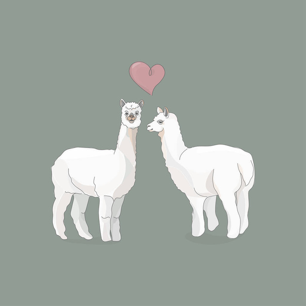 Illustrazione vettoriale di due lama o alpaca e un cuore tra di loro. Con amore. Colori pastello stile cartone animato. Per design, cartoline, packaging. - Vettoriali, immagini
