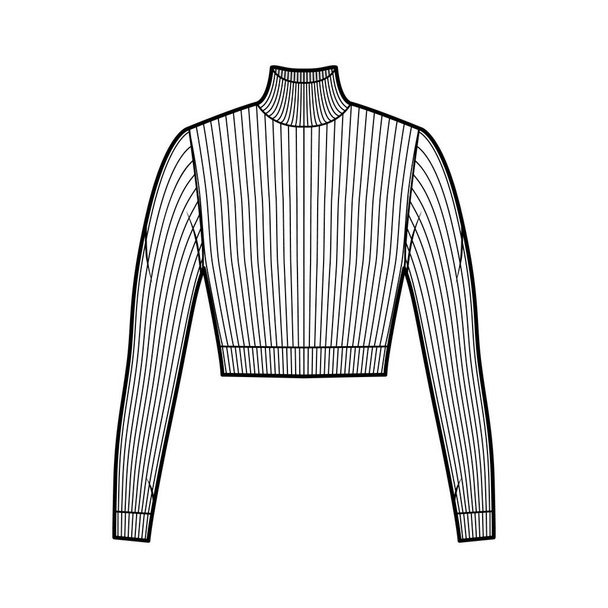 Обрізаний черепашковий ребристий светр технічної моди ілюстрації з довгими рукавами, крупним планом форми
.  - Вектор, зображення