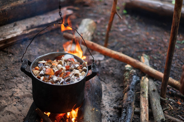 Cooking in a pot on the fire during hiking. - Foto, Imagen