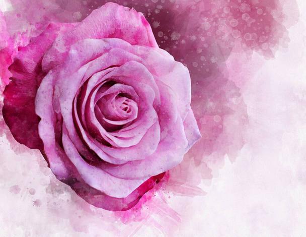 Een aquarel schilderstuk van een levendige rose rose bloem. Botanische kunst. Decoratief element voor een wenskaart of huwelijksuitnodiging - Foto, afbeelding