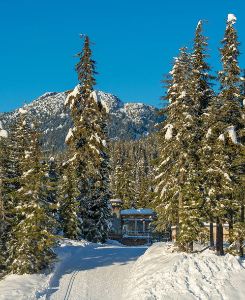 Путь к туристическому убежищу горнолыжного курорта в зимний сезон - Фото, изображение