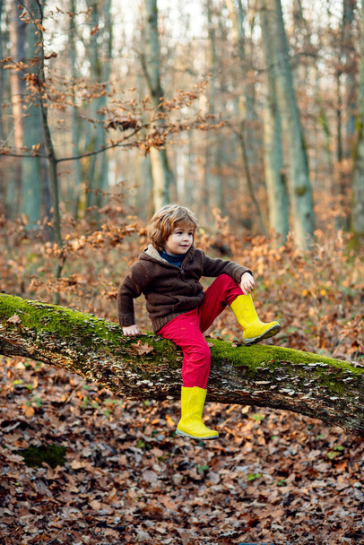 Kids Autumn leaves falling. Toddler kid or preschooler child in fall. - Zdjęcie, obraz