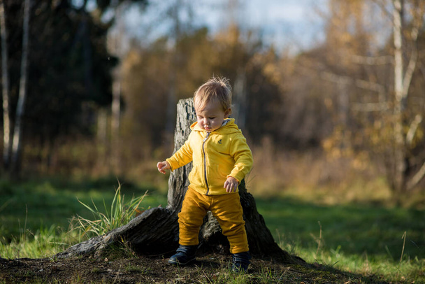 .Todler niño en una chaqueta amarilla aprende a caminar en un parque de otoño, verano indio. - Foto, Imagen