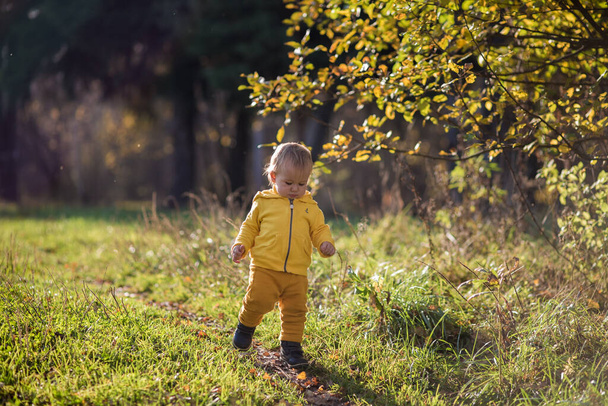 .Toddler todler in a yellow jacket learns to walk in an autumn park, Indian summer. - Фото, изображение