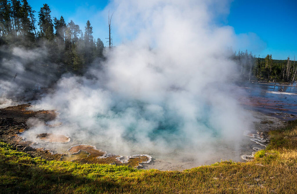 Silex Spring on the Fountain Paint Pots Trail in Yellowstone National Park - Photo, Image