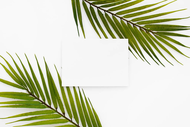 A top view of a blank square paper surrounded by palm leaves isolated on a white background - Foto, Imagen