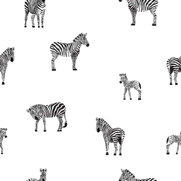Seamless pattern with striped black and white zebras, flat vector illustration. - Vector, afbeelding