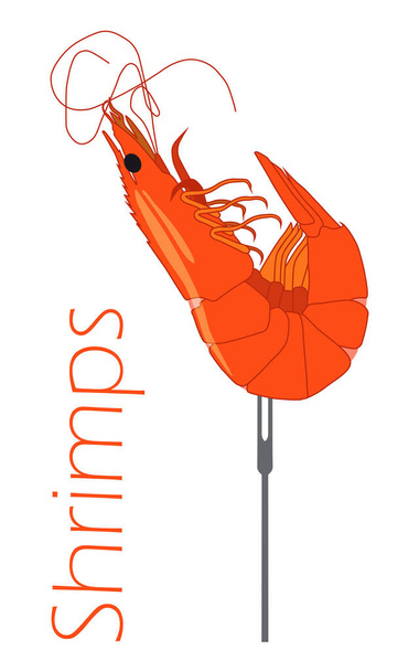 Shrimp on a skewer. Red cooked shrimp on a skewer-fork. Delicious treat. Seafood. Vector illustration isolated on a white background for design and web. - Vector, Image