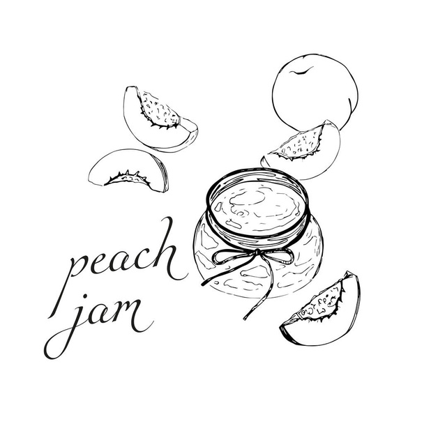 Peach jam glass jar drawing. Fruit jelly and marmalade. Hand-drawn illustration of food. Sketch style of vintage objects for labels, icons, packaging design. - Photo, Image