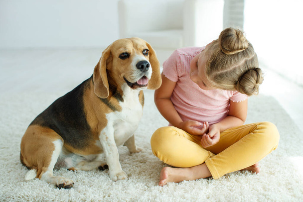 Köpekli bir çocuk. Küçük kız evde bir köpekle oynuyor. Çocuk ve hayvan. - Fotoğraf, Görsel