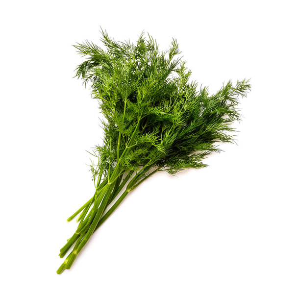 Bunch fresh green dill isolated on white background. - Photo, Image