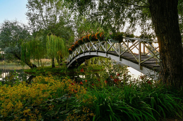 деревянный мост через воду в красивом парке - Фото, изображение