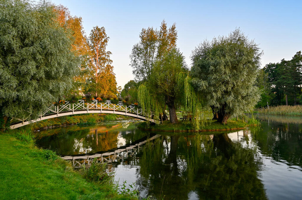 wooden bridge over water in beautiful park - Photo, Image