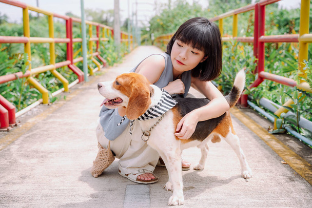 Belle asiatique thai cheveux courts femme caressant beagle chien avec amour. Promenez le chien. - Photo, image