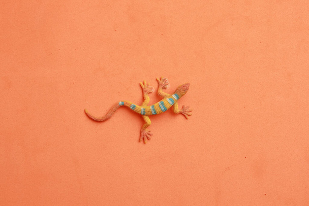 A top view of a lizard-shaped rubber toy on an orange surface - Фото, изображение