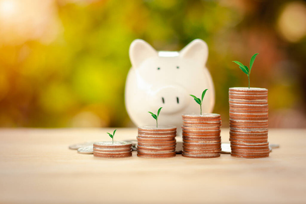 Business Financial and Saving Money concept.Money coin stack for growing with piggy bank,income growing in the future with sun light bokeh background. - Photo, Image