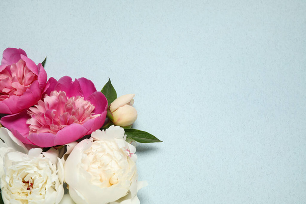 Beautiful fresh peonies and leaves on light blue background, flat lay. Space for text - Foto, immagini
