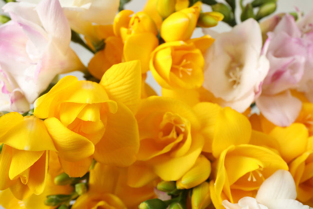 Beautiful colorful freesia bouquet as background, closeup - Fotografie, Obrázek