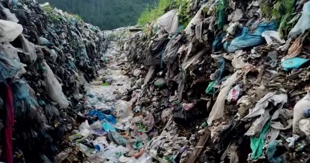 Dağlarda plastik, dağ çöplüğü, büyük çöp yığını, bozulmuş çöp. Koku ve toksik kalıntı yığını. Bu çöpler kentsel alanlardan, sanayi bölgelerinden geliyor. Tüketici toplumu Devasa - Video, Çekim