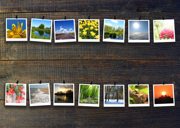 Verschiedene Fotos in zwei Reihen auf schwarzem Holzgrund. Fotos vom Leben. Naturfotos. Fotografie als Hobby. Foto: dpa - Foto, Bild