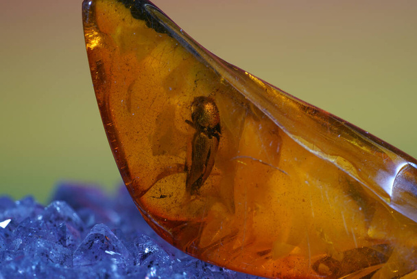 A closeup shot of a Dominican amber stone - Valokuva, kuva