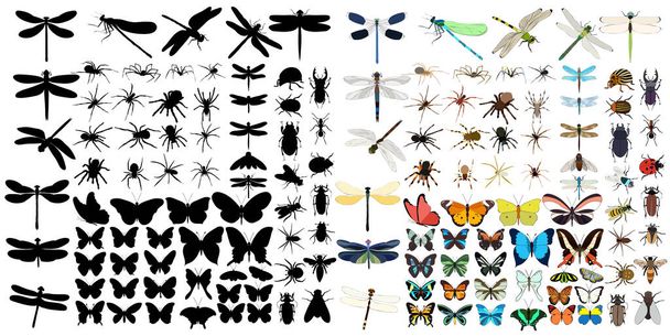 vetor isolado, conjunto de insetos silhueta - Vetor, Imagem