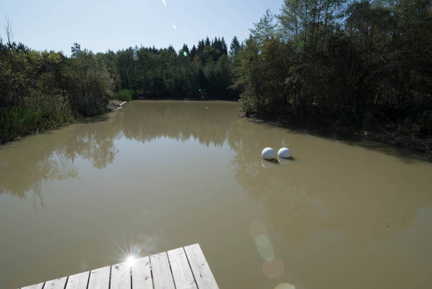 kerti tó sáros vízzel és két fehér golyóval, fákkal körülvéve - Fotó, kép
