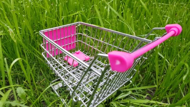 An empty toy shopping basket stands in a meadow in green grass, outdoors, in summer, 4K - Footage, Video