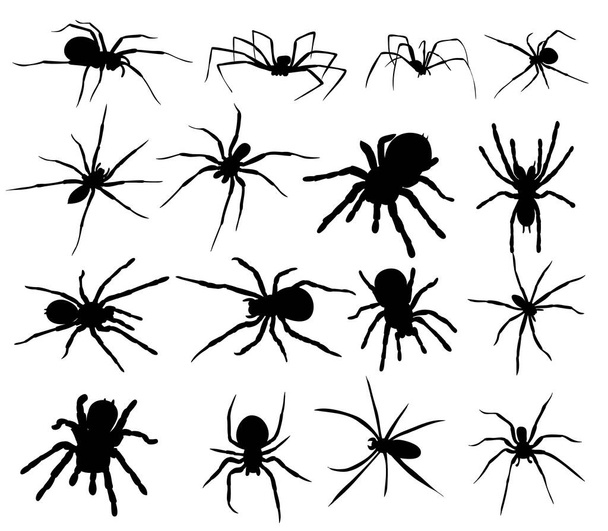 silhouet spinnenset, verzameling - Vector, afbeelding