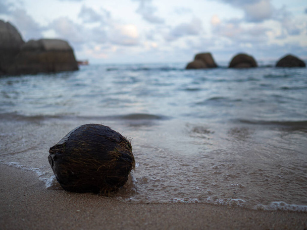 The coconut that fall on the beach and the wave of sea in Koh Tao, Thailand - Foto, immagini