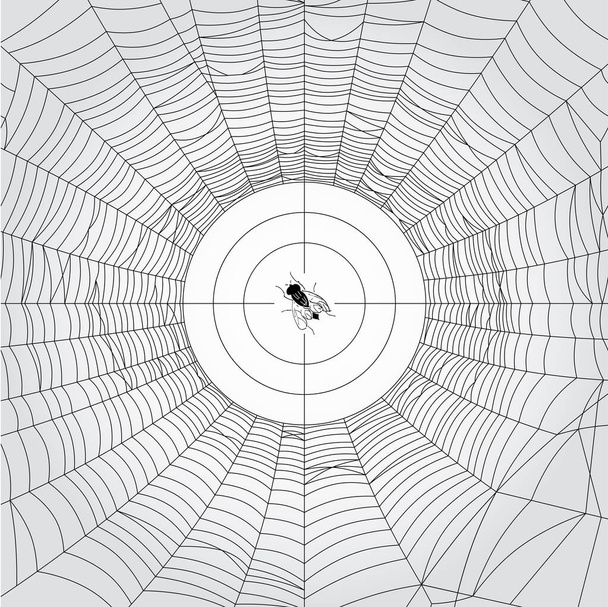 Örümcek ağı sinekleri avlamak için vektör dokusu - Vektör, Görsel