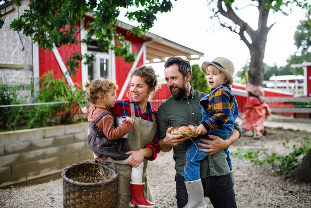 Portrait of family with small children standing on farm, holding basket with eggs. - Foto, Bild