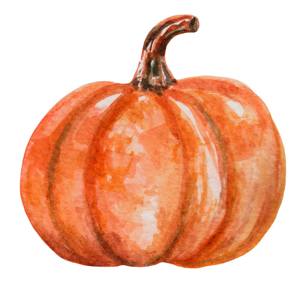 手描きの水彩オレンジカボチャ白に隔離されました。季節の秋の装飾のための要素。ハロウィンパーティーだ。ステッカー、ファーマーズマーケットや収穫祭。10月秋のお祝い - 写真・画像