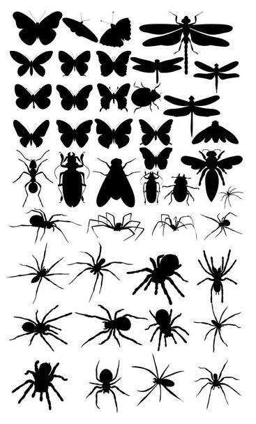 eristetty, joukko hyönteisten, hämähäkkien, perhosten, kovakuoriaisten siluetteja - Vektori, kuva