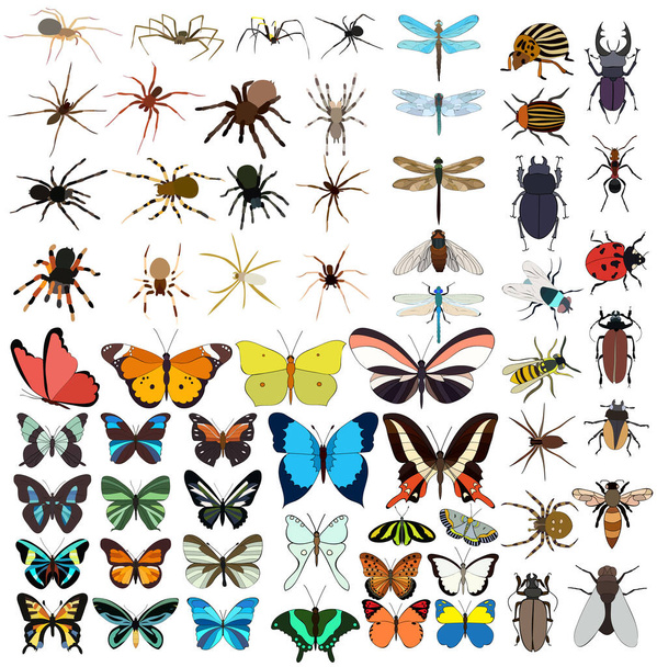 insetos isolados conjunto vetor - Vetor, Imagem