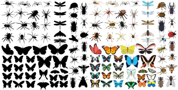 昆虫、クモ、蝶、カブトムシのシルエットのセット - ベクター画像