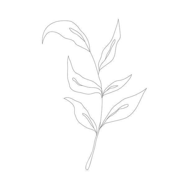 Minimalism line drawing. Flower vector one line art. Botanical Sketch Vector Illustration. Nature vector Line drawing. - Vector, Imagen