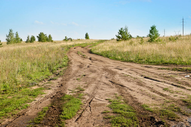 Paisaje de verano - camino de campo entre prados. La serenidad del campo. - Foto, Imagen