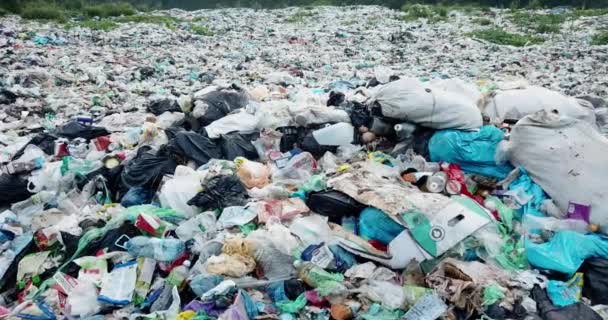 Забруднення побутових відходів чистих гірських річок на Карпатах України є величезною проблемою для людей. Спеціальні робітники збирають сміття, як символ порятунку планети Земля, повний hd - Кадри, відео