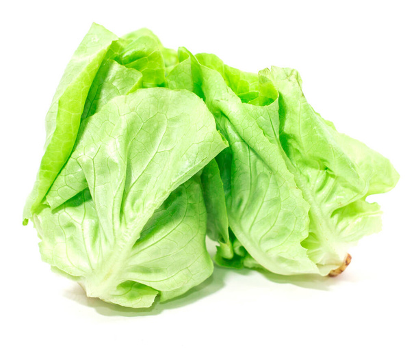 Карійський овоч зеленого кольору на білому тлі
. - Фото, зображення