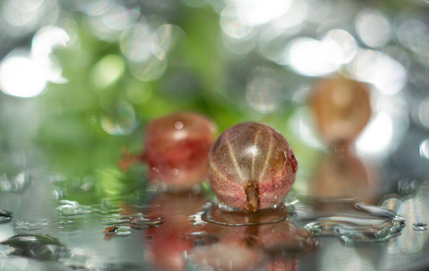 un ramo di uva spina matura si trova su una superficie bagnata e si riflette in uno specchio con gocce wter - Foto, immagini