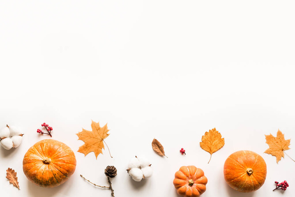 Autumn composition - pumpkins, autumn leaves, pine cones isolated on white background, creative flat lay, top view, copy space. Seasonal autumn concept. - Foto, imagen