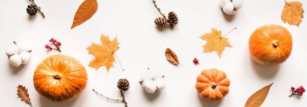 Autumn composition - pumpkins, autumn leaves, pine cones isolated on white background, creative flat lay, top view, banner. Seasonal autumn concept. - Photo, Image
