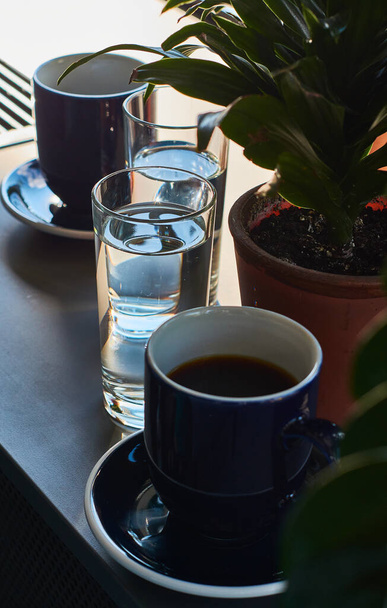 Black and strong morning coffee in blue mugs and green plants in pots. - Photo, Image