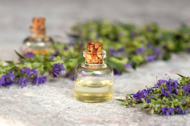 Пляшка ефірної олії з квітучими гілочками ісопу
 - Фото, зображення