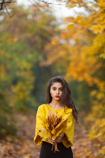 Cheerful woman portrait with autumn maple leaves in the park. - Photo, Image