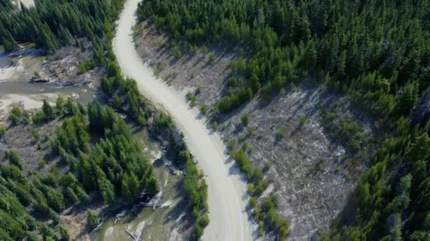 Αεροφωτογραφία πάνω προς τα κάτω πάνω από S-shape εκκαθάρισης δρόμο στον Καναδά. Άγριο ποτάμι δίπλα στο δρόμο. Πράσινο δάσος πεύκων σε μια ηλιόλουστη μέρα δίπλα στο δρόμο. - Πλάνα, βίντεο